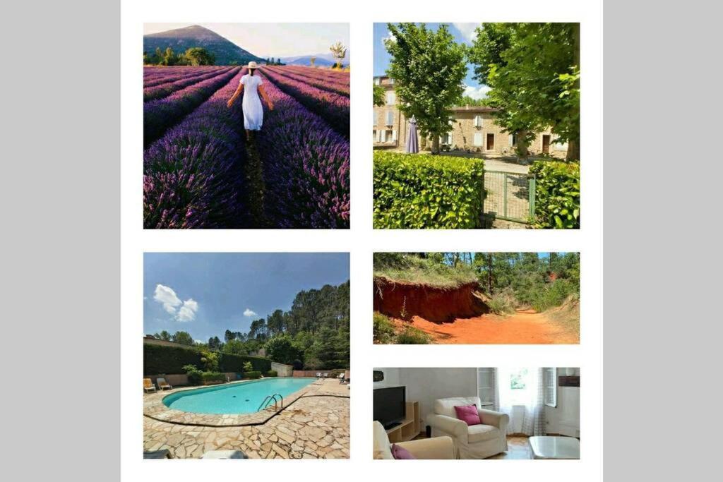 Eblouissant Appartement Au Calme D'Une Residence Avec Piscine Idealement Situe Au Pied Du Colorado Provencal Dans Le Prestigieux Luberon Rustrel Exterior photo